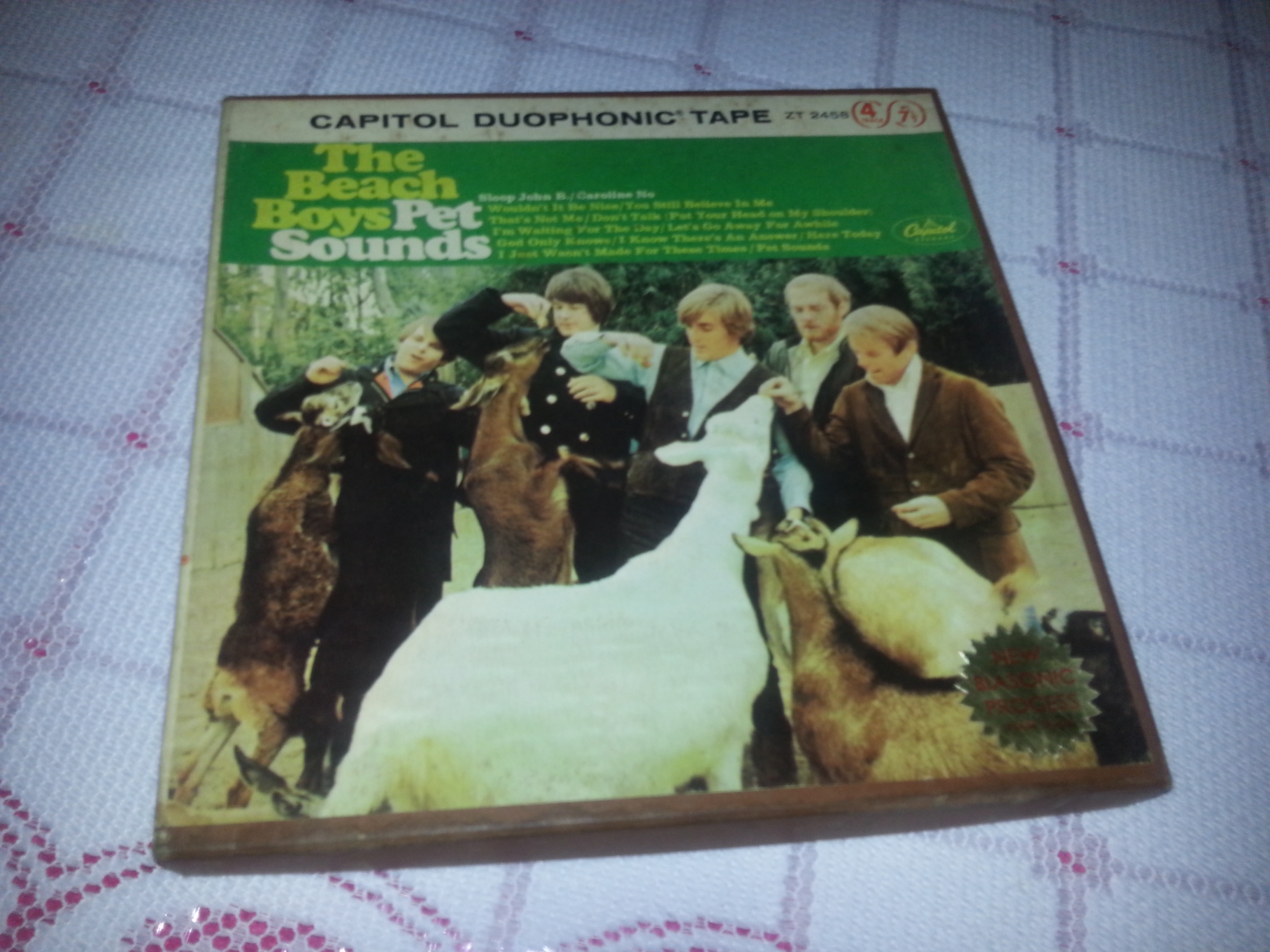 Duophonic Pet Sounds & The Beatles & Stones | Let The Universe Answer